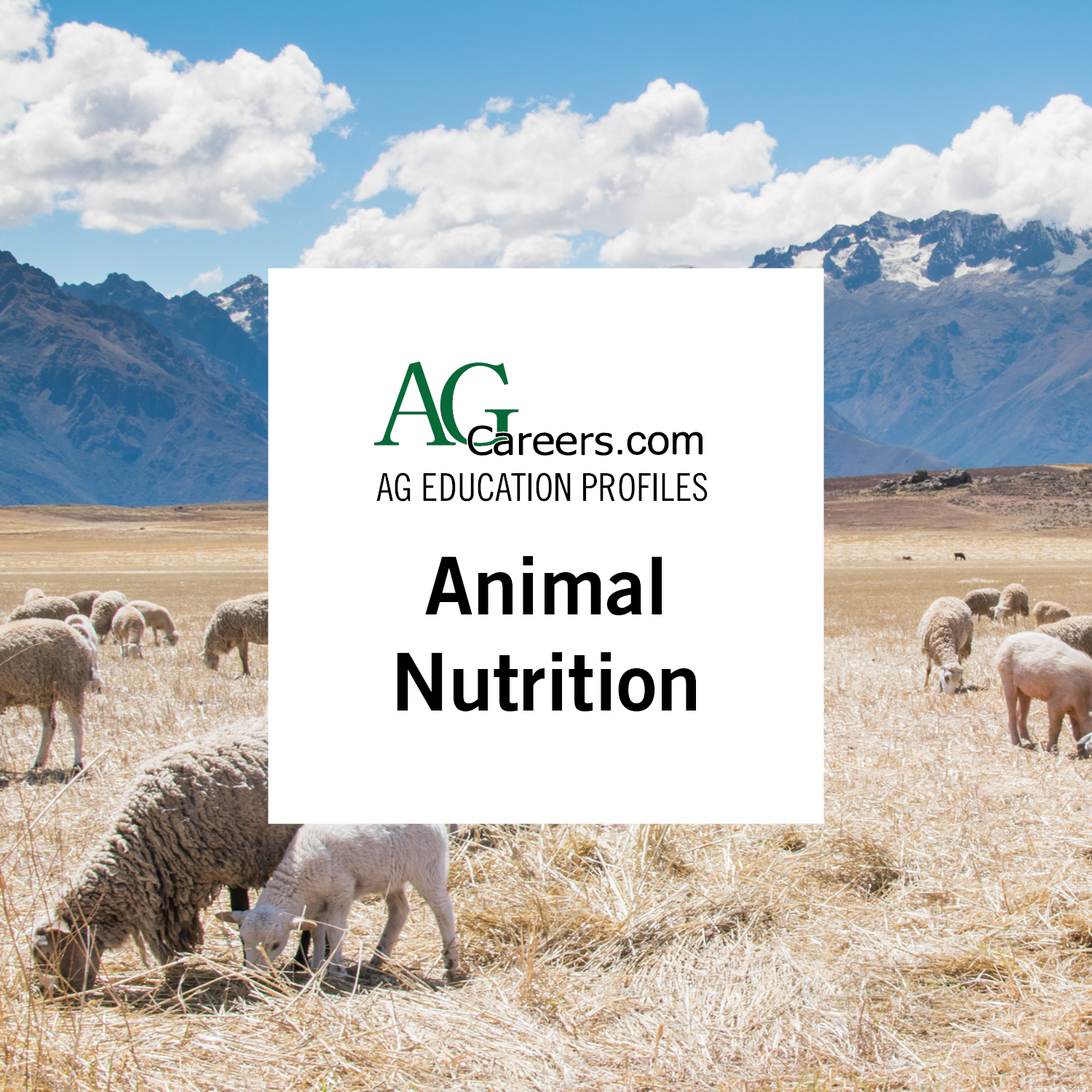 Animal Nutrition | Education Profile | AgCareers.com